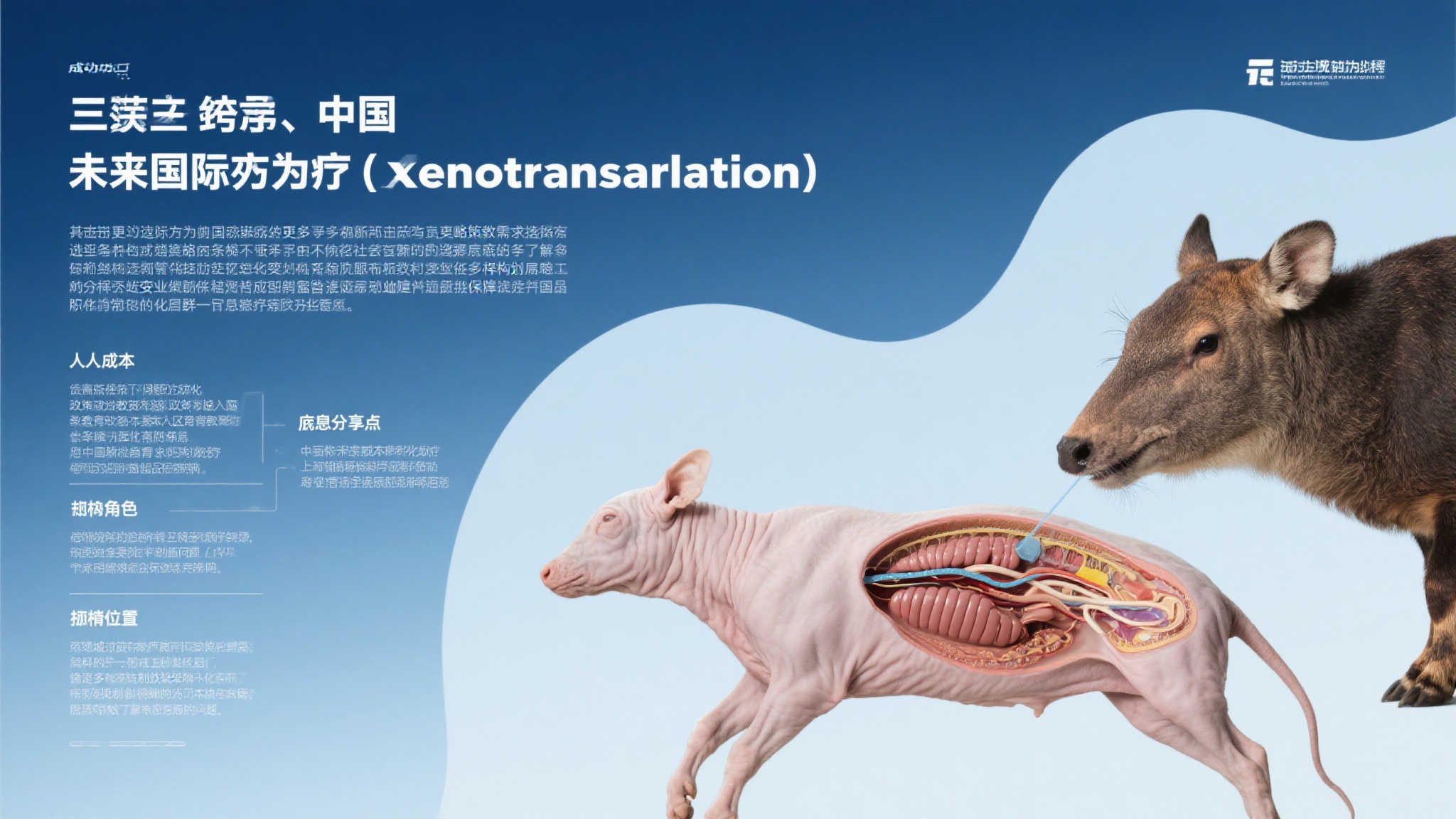 PG电子模拟器介绍